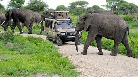 Budget Safari In Tarangire And Ngorongoro: Two Days - October 2025