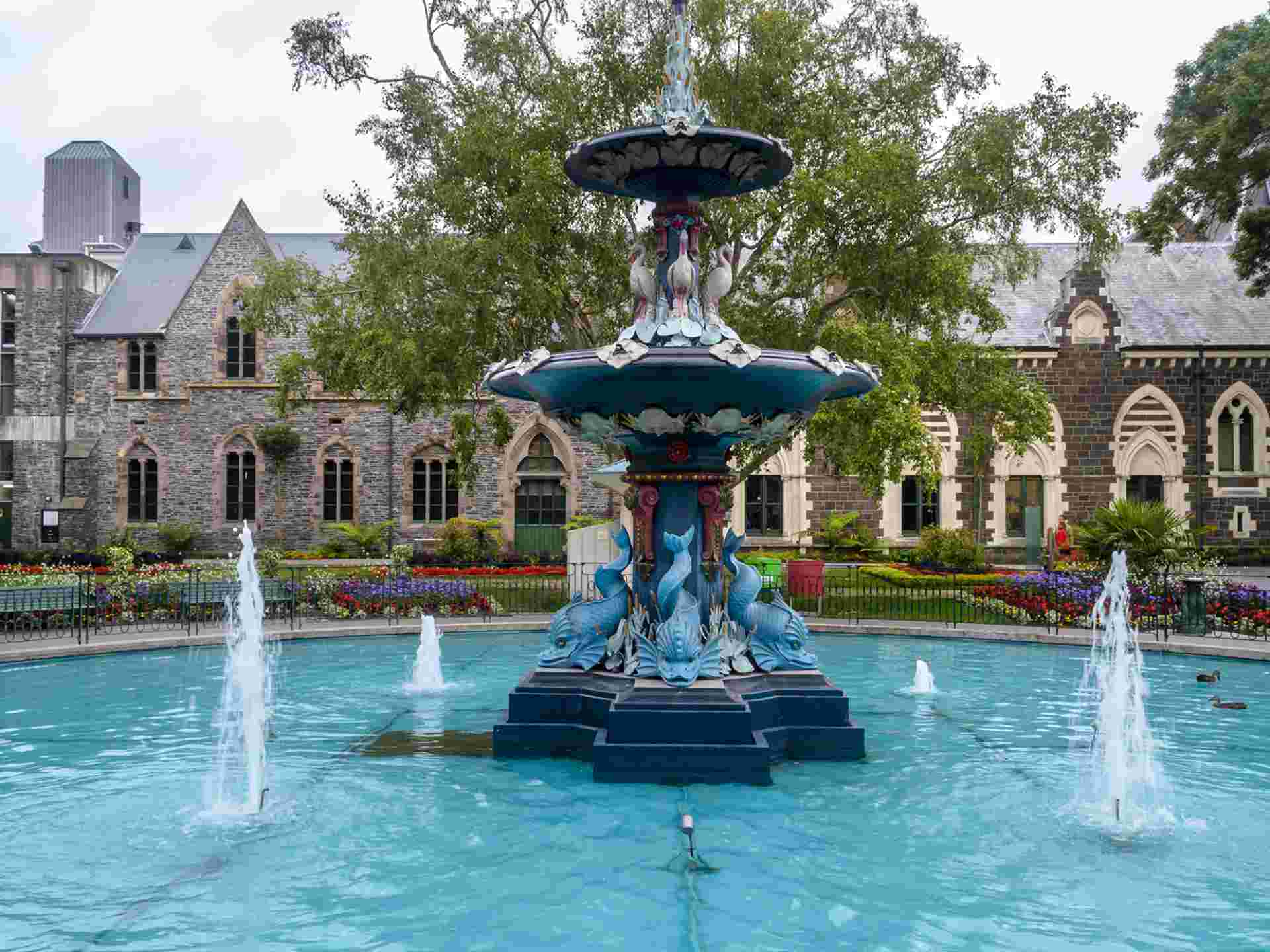 Budget South Island Adventure - 7 days