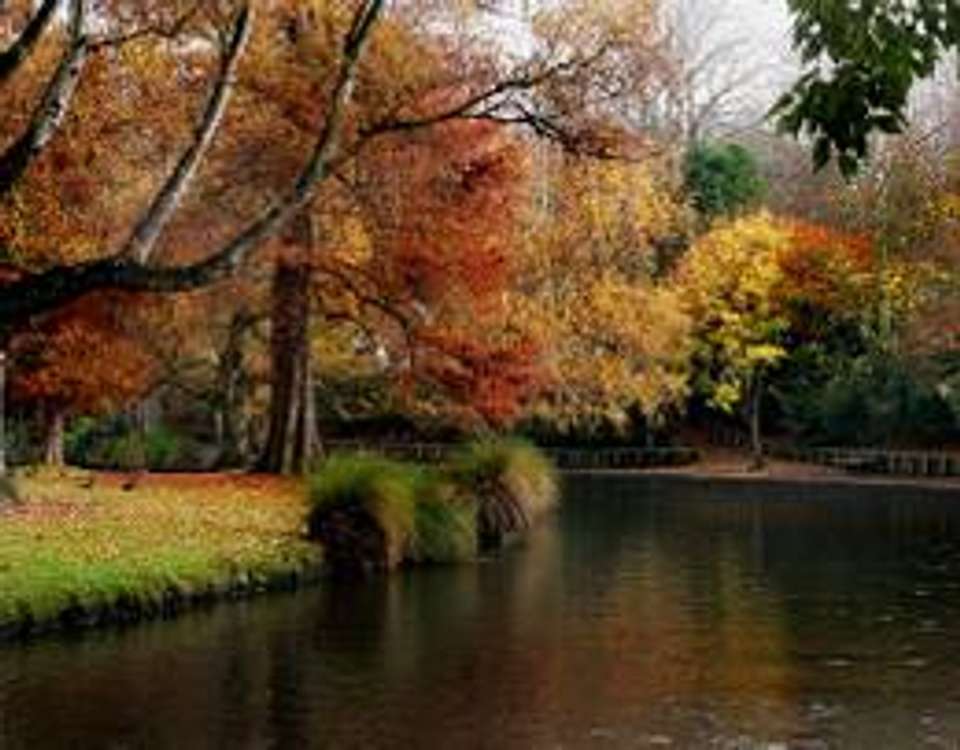 Budget South Island Adventure - 7 days - On The Go Tours - New Zealand