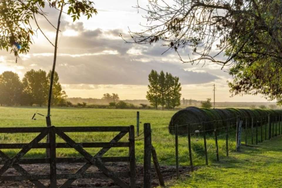 Buenos Aires Countryside: Estancia Day at El Ombú - Tangol Tours - Argentina - Image 9