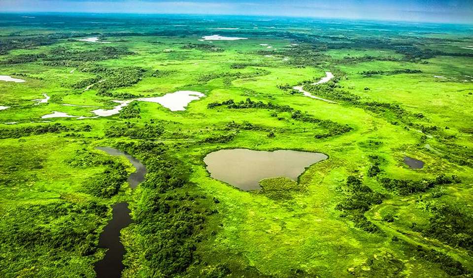 Buenos Aires to Lima (via Pantanal) Travel Pass - Bamba - Argentina - Image 5