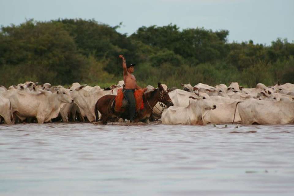 BUENOS AIRES to RIO (27 days) Waterfalls, Wetlands - Oasis Overland - Argentina - Image 2