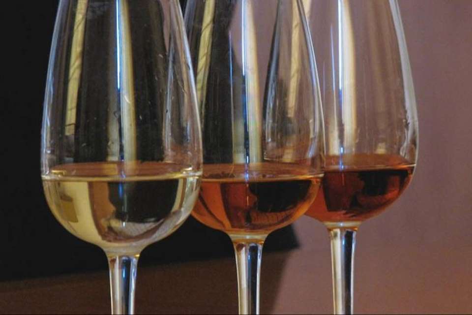 Buenos Aires Wine Tasting & Dinner - Tangol Tours - Argentina - Image 5