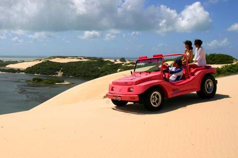 South America Private Tours: Buggy Tour To Genipabu