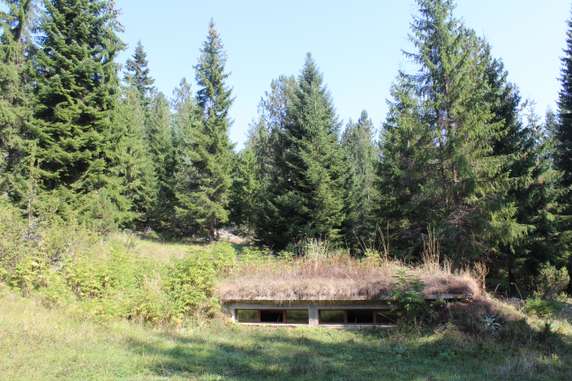 Image 4 of 16