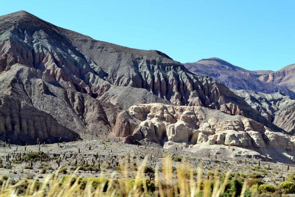 Bull Lagoon And Flamingos Watching from Salta - Tangol Tours - Argentina - Image 3