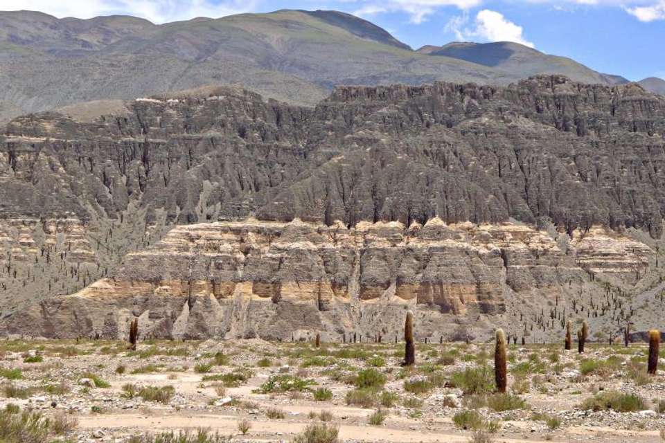 Bull Lagoon And Flamingos Watching from Salta - Tangol Tours - Argentina - Image 6