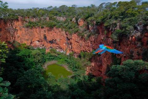 Brazil Explorer Tour: Buraco Das Araras