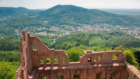 Burgundy, Alsace And Black Forest End Paris - October 2025
