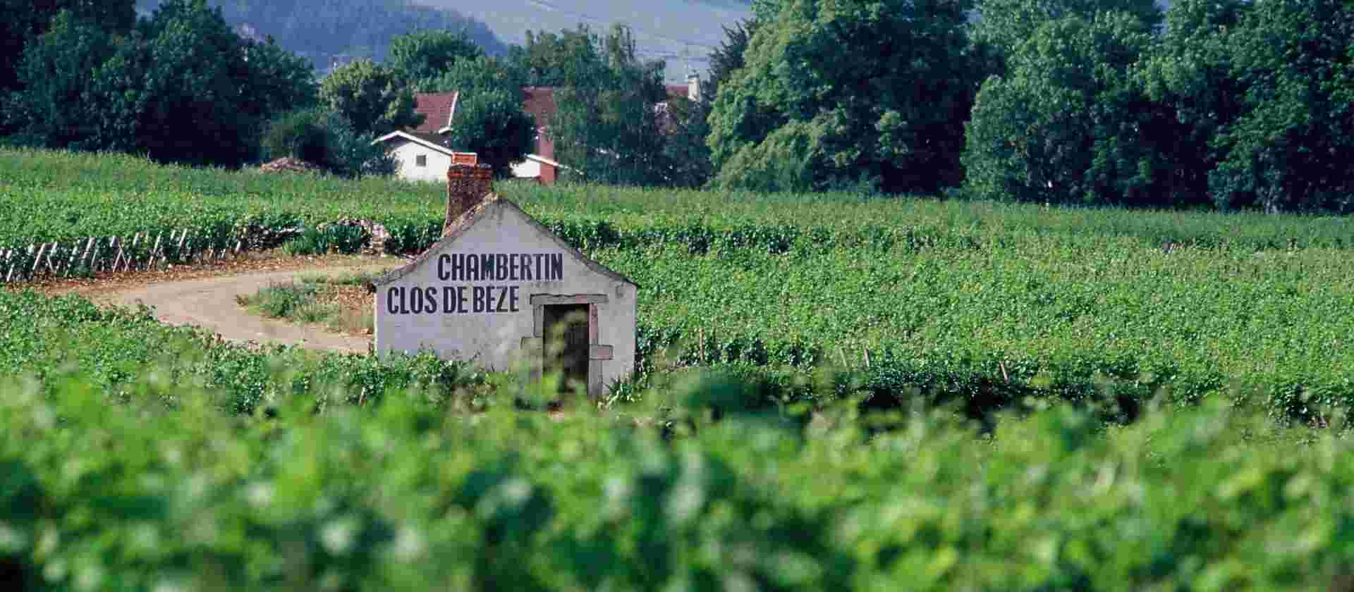 Burgundy Canals and Vineyards