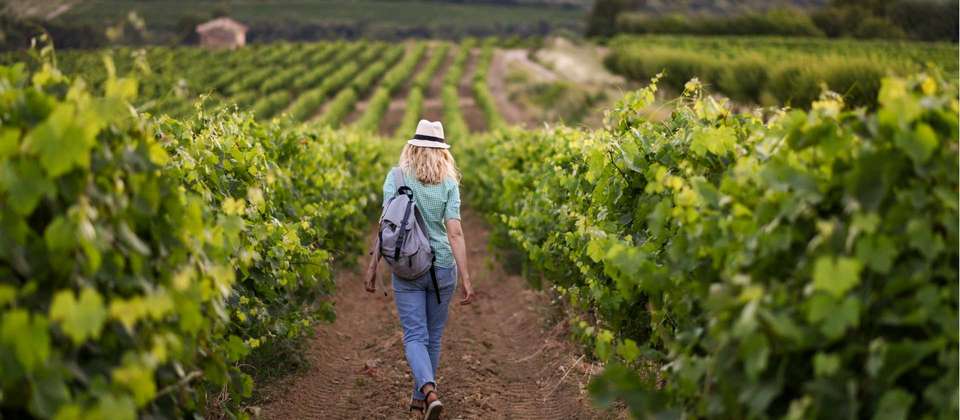 Burgundy Canals and Vineyards - Utracks - France - Image 4