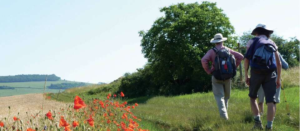 Burgundy Vineyard Trails - Walkers' Britain - France - Image 5