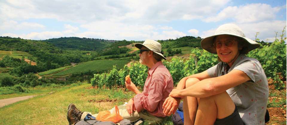 Burgundy Vineyard Trails - Walkers' Britain - France - Image 6
