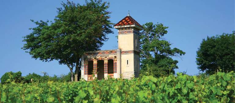 Burgundy Vineyard Trails trip - alternative tour available