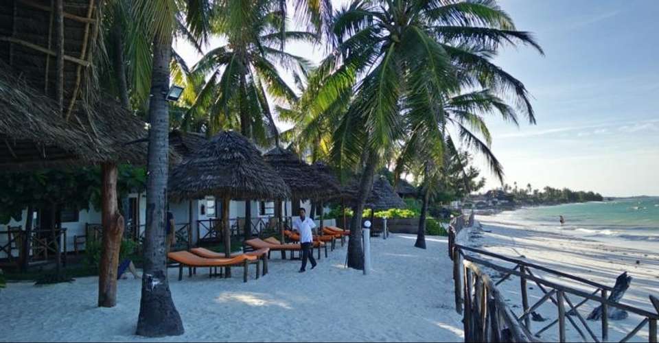 Bush 2 Beach Holiday - Love And Dove Africa - Tanzania - Image 6