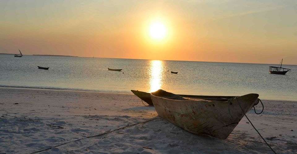 Bush 2 Beach Holiday - Love And Dove Africa - Tanzania - Image 7