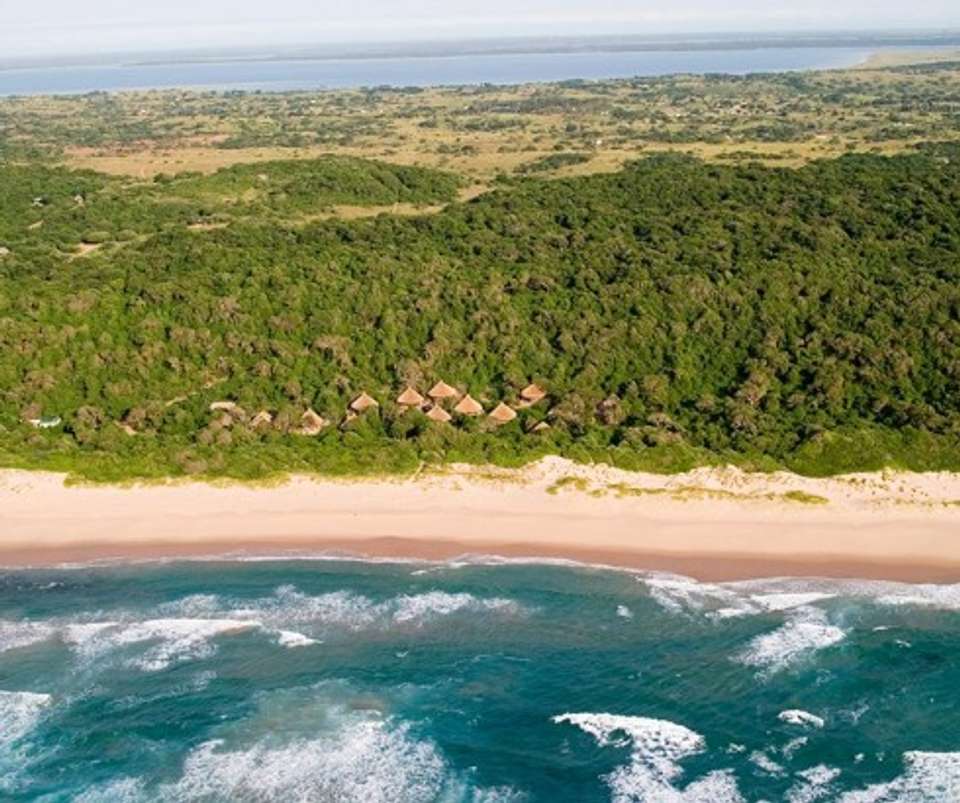 Bush And Beach - undefined - Image 2