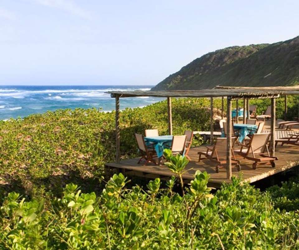 Bush And Beach - undefined - Image 3