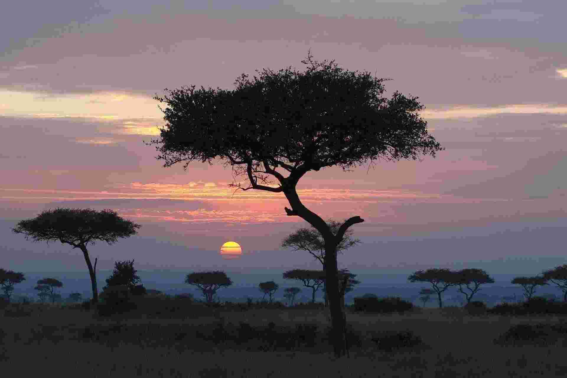 Bwindi By Air – Mahogany Springs Lodge (on Request)