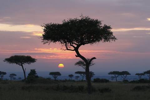 Bwindi By Air – Mahogany Springs Lodge (on Request) - Fall Tours