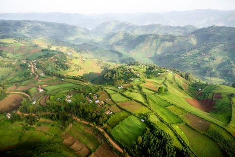 Bwindi By Air – Sanctuary Gorilla Forest Camp (on Request) - Fall Tours