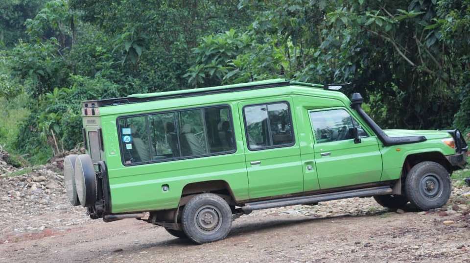  3 days Bwindi Gorilla Tracking Safari - Primate World Safaris (u) Ltd - Uganda - Image 2
