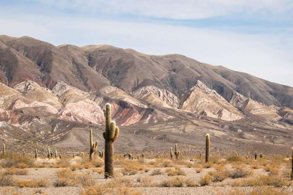 Image 6 of 10
