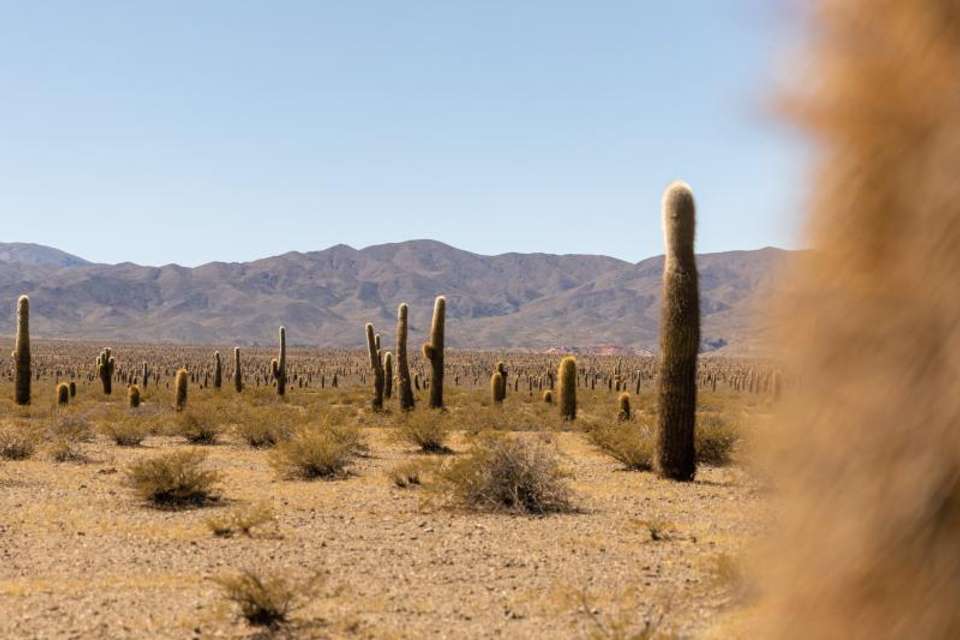 Image 9 of 10