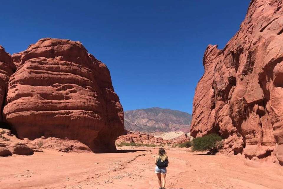 Cafayate Day Tour from Salta - Tangol Tours - Argentina - Image 6