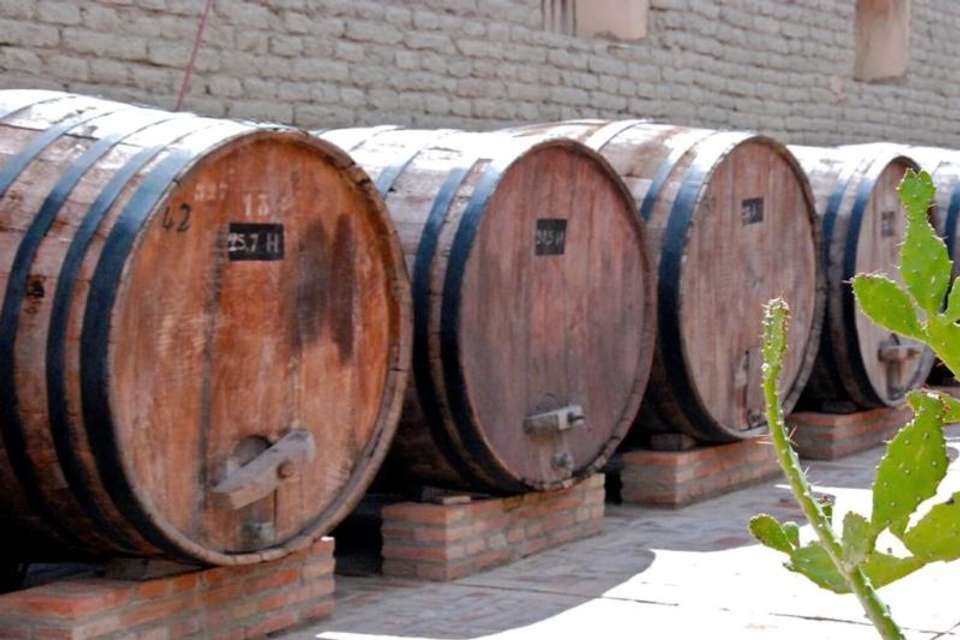 Cafayate Day Tour from Salta - Tangol Tours - Argentina - Image 8
