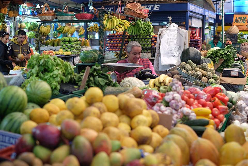 Cafe Colombia - Intrepid Travel - Colombia