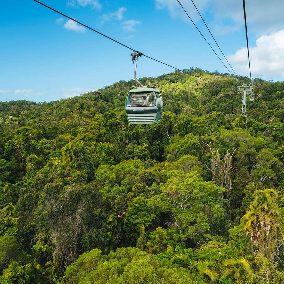 Cairns to Sydney Highlights - undefined - Image 1