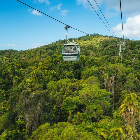 Australia Self-guided Tours: Cairns To Sydney Highlights