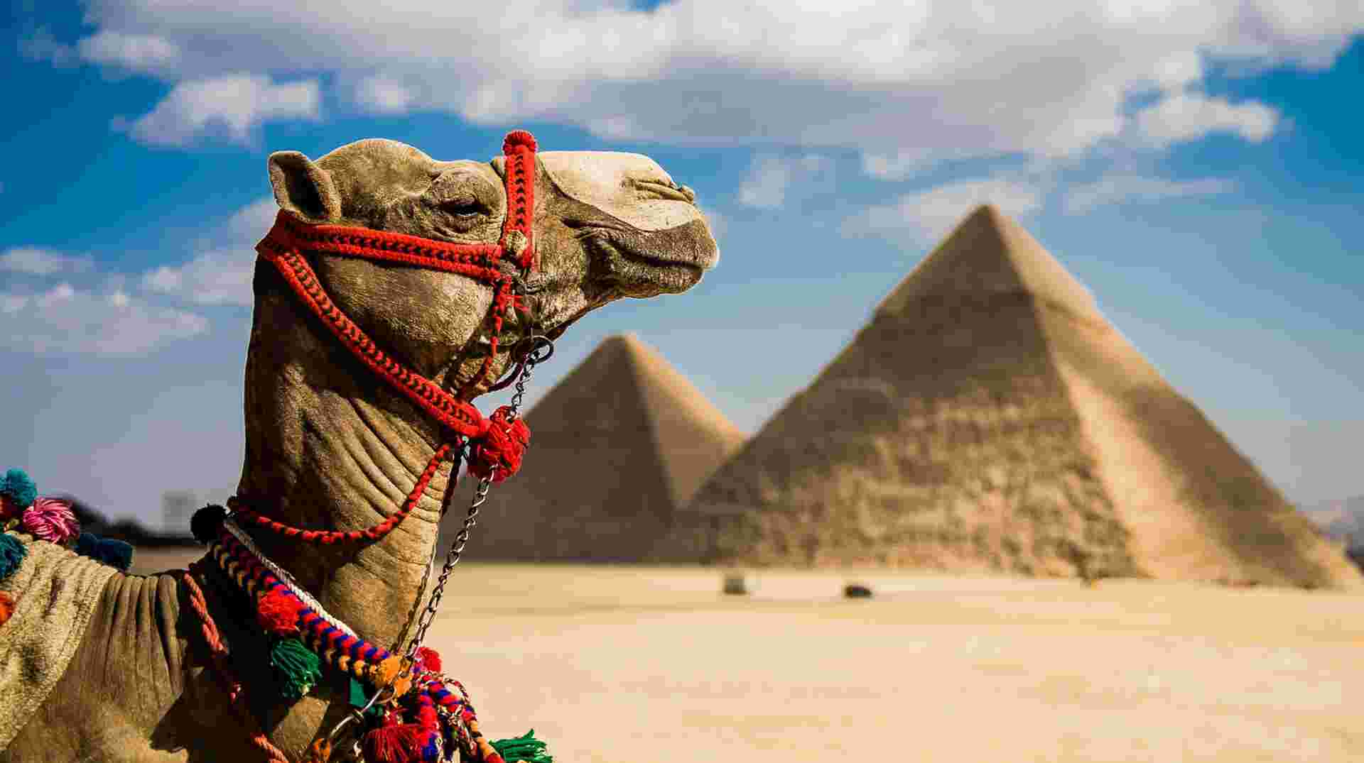 Cairo And Alexandria Tour
