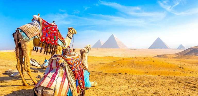 Cairo & Nile Cruise: Explore Egypt's Ancient Wonders 8D/7N trip - alternative tour available
