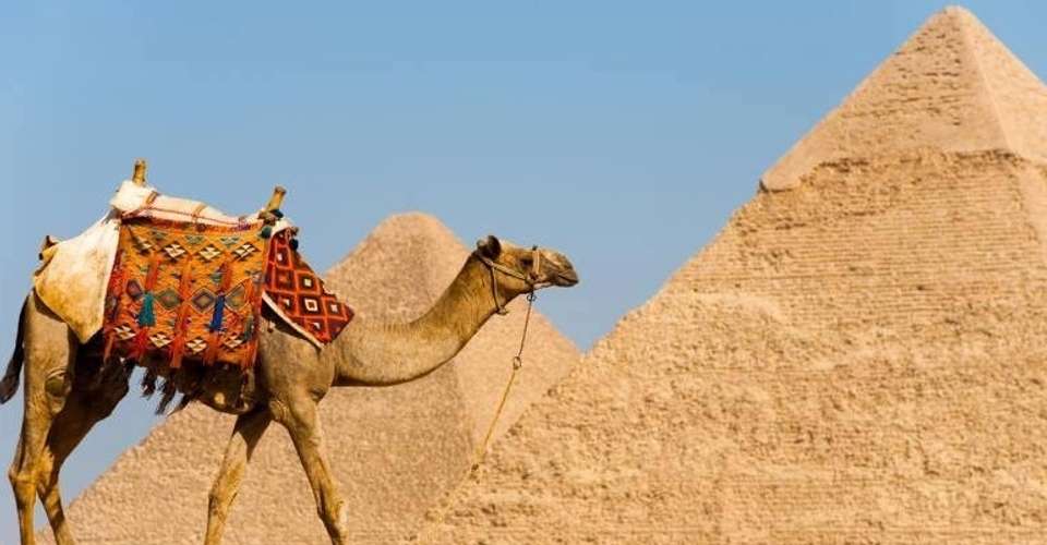 Cairo Short layover tour to Giza Pyramids & Bazaar - undefined - Image 2