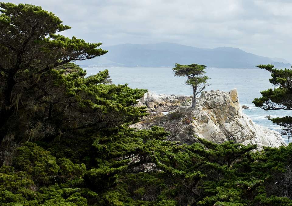 California Dreamin': Monterey, Yosemite & Napa - Collette Tours - USA - Image 2