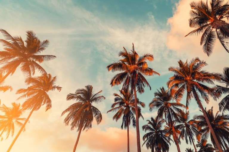 California Dreaming with Las Vegas trip - alternative tour available