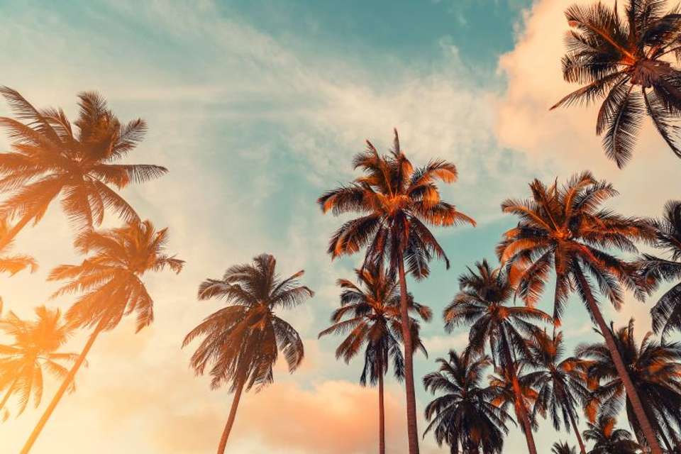 California Dreaming with Las Vegas - Omega Tours - USA