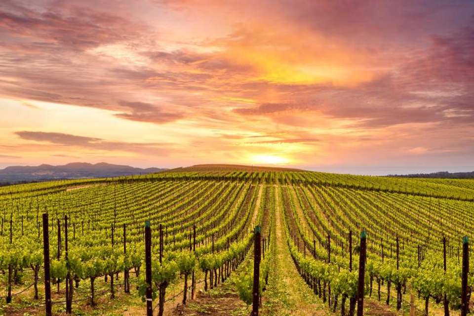 California Dreaming with Las Vegas - Omega Tours - USA