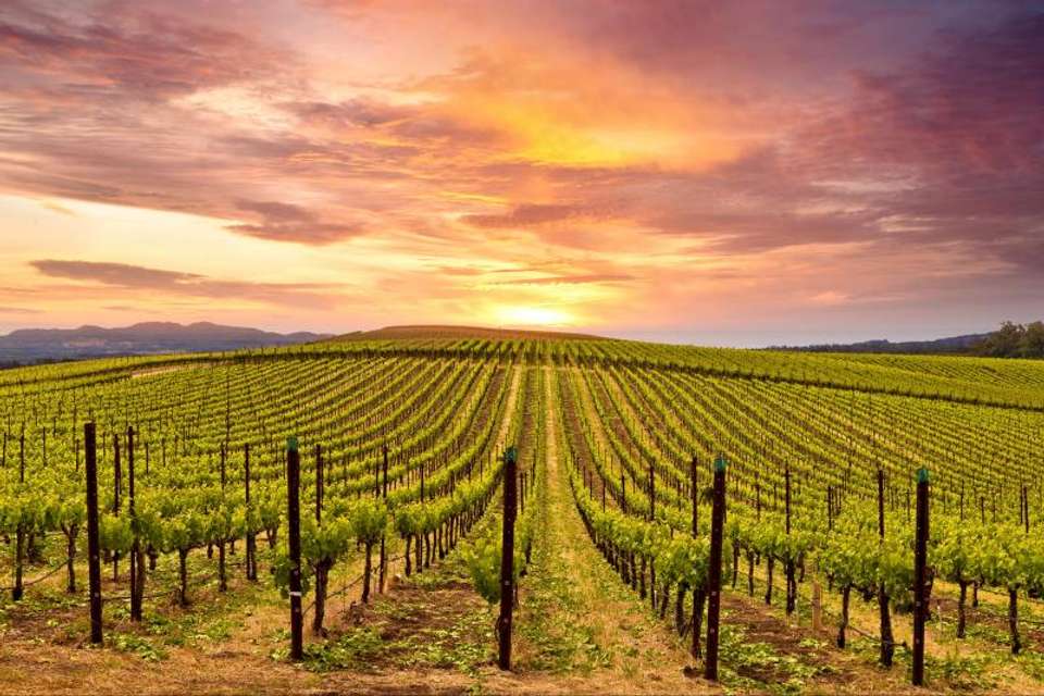 California Panorama - Omega Tours - USA - Image 4