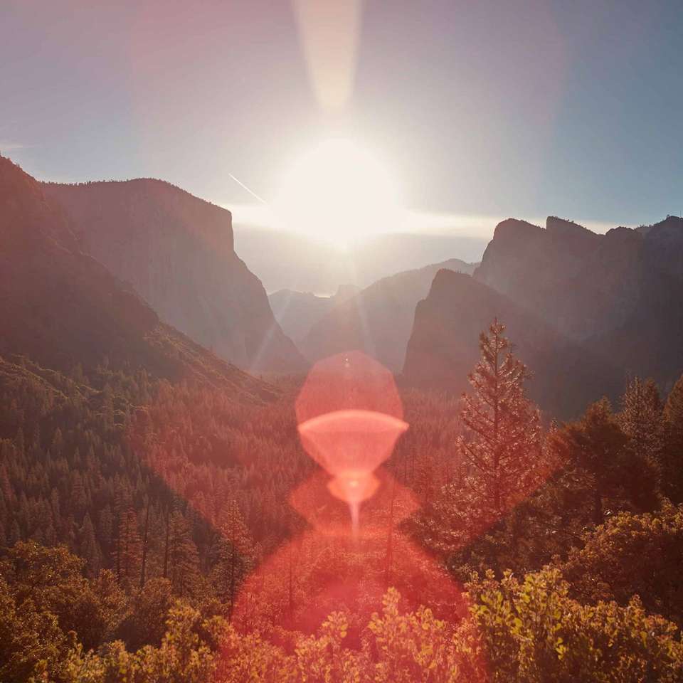 California's Great National Parks - Trafalgar - USA - Image 5