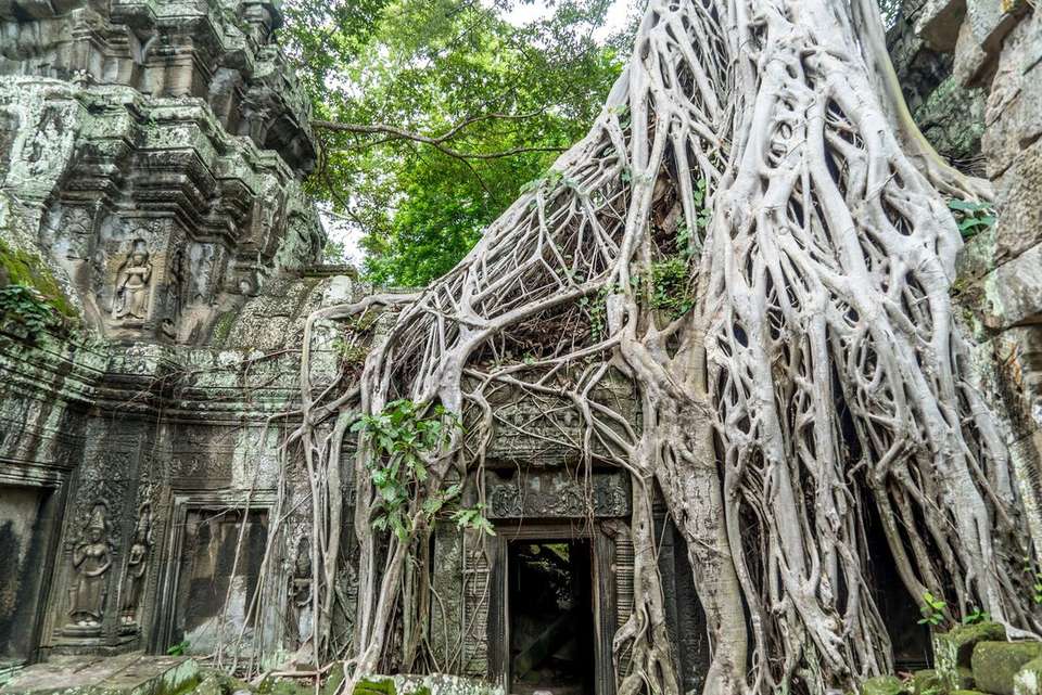 Cambodia Adventure - Intrepid Travel - Thailand - Image 12