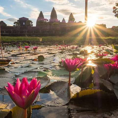 Cambodia Calling