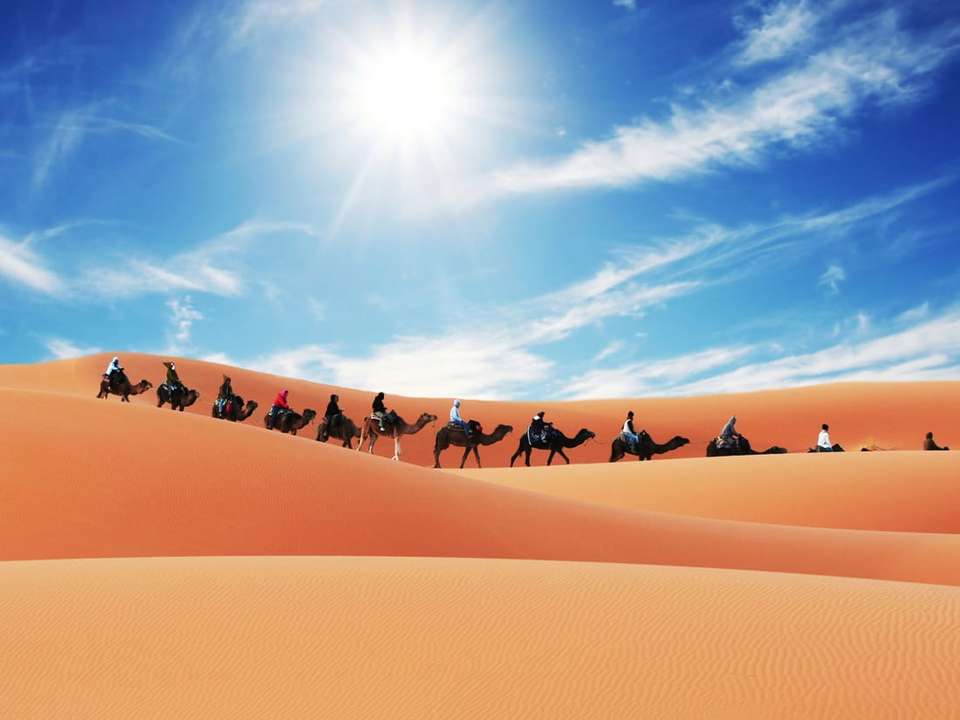 Camels, Souks & Kasbahs - 15 Days - On The Go Tours - Morocco - Image 5