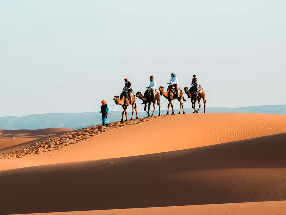 Camels, Souks & Kasbahs from Casa - 14 days - On The Go Tours - Morocco - Image 5
