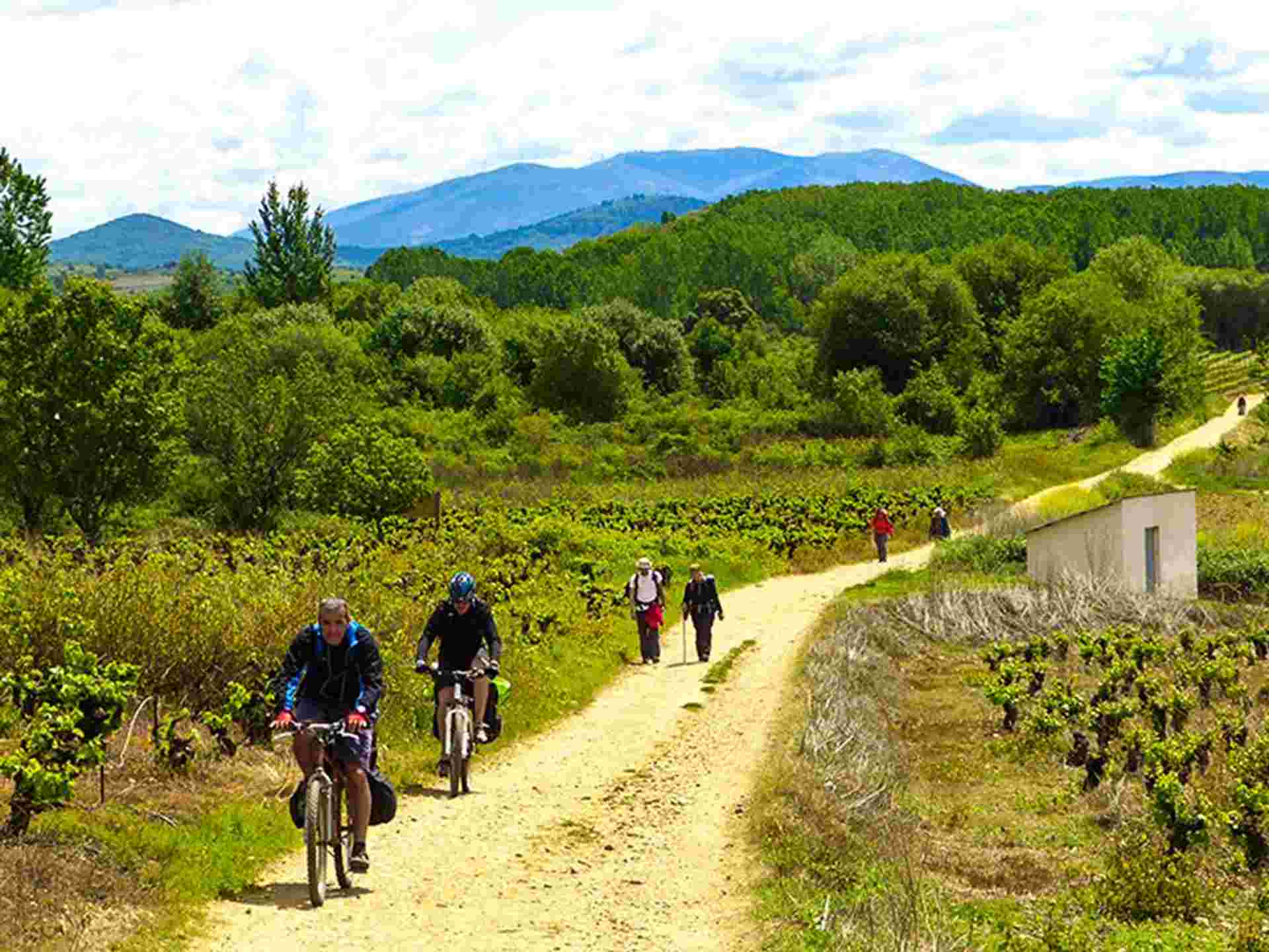 Camino de Santiago Biking Adventure 7D/6N (from Porto)
