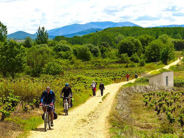 Camino de Santiago Biking Adventure 7D/6N (from Porto) trip - alternative tour available