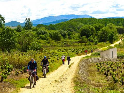 Camino De Santiago Biking Adventure 7d/6n (from Porto)