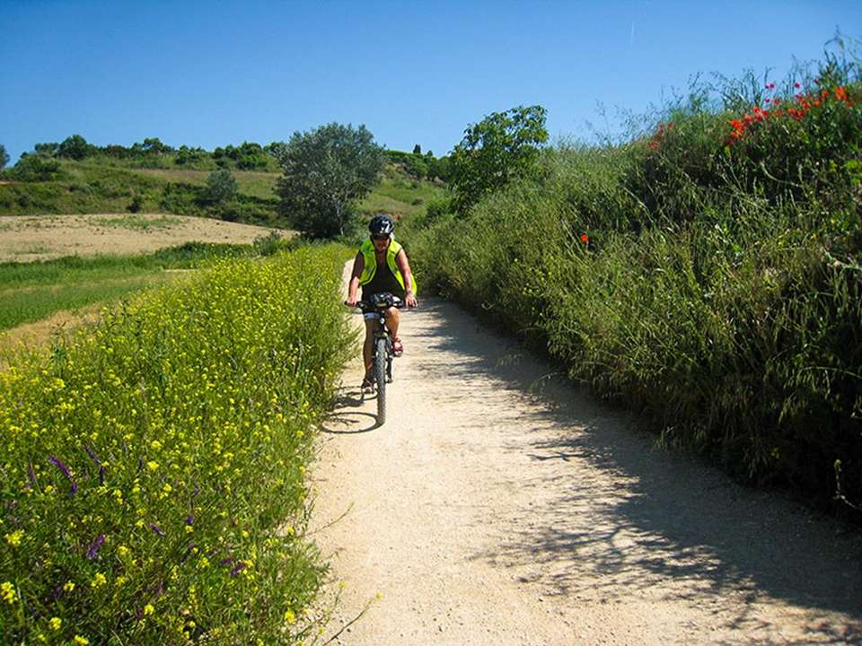 Camino de Santiago Biking Adventure 7D/6N (from Porto) - Bamba - Portugal - Image 4